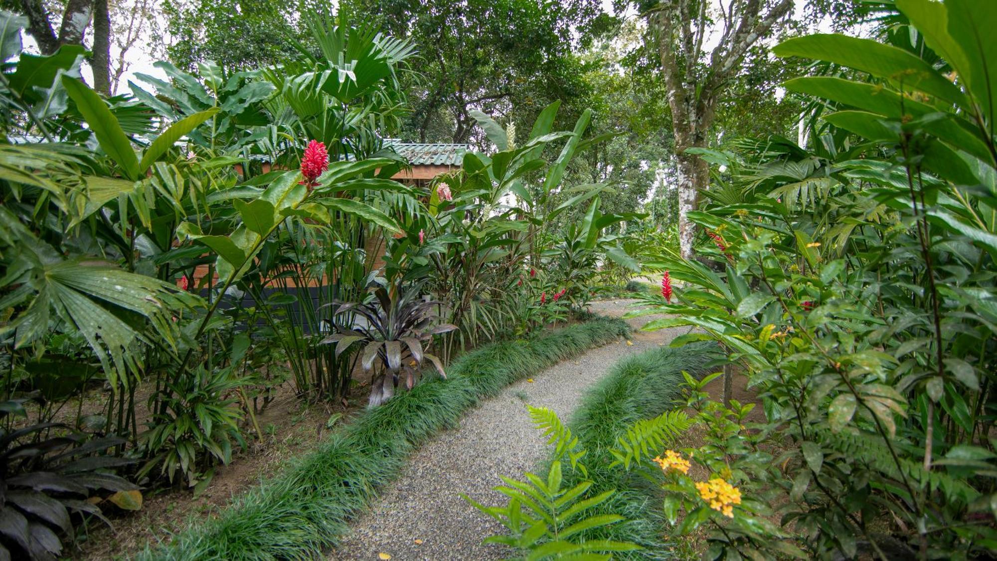 Eden Organic Farm & Bungalows La Fortuna ห้อง รูปภาพ